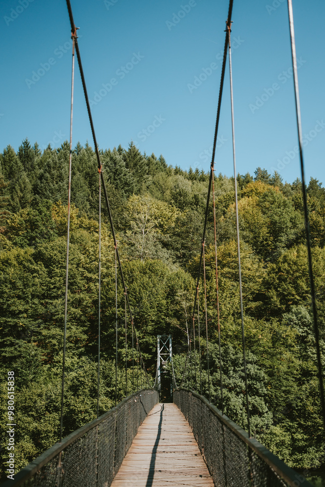 Obraz premium suspension bridge over the river