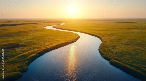 Drone shot of endless golden wheat fields, split by a winding river, sunlight shimmering on the water amidst a clear, open sky