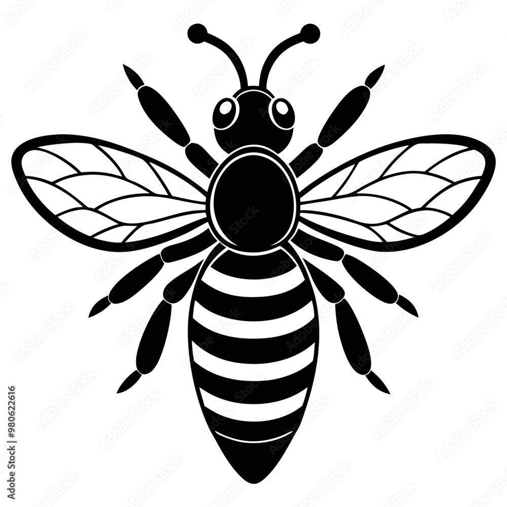 Asian giant hornet bee vector illustration. Asian giant hornet bee vector illustration.