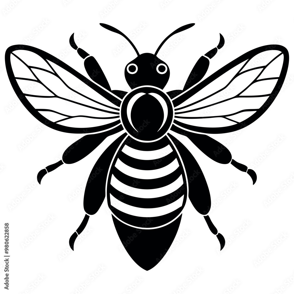 Asian giant hornet bee vector illustration. Asian giant hornet bee vector illustration.