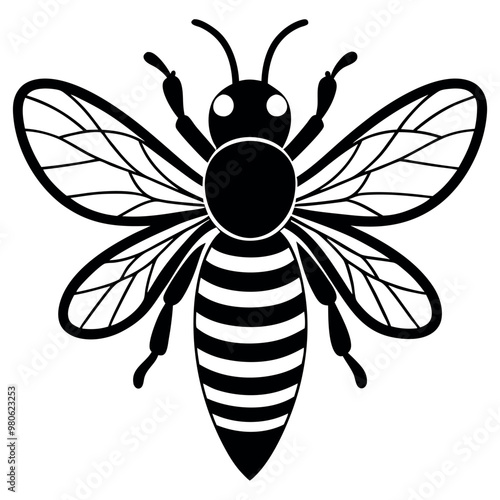 Asian giant hornet bee vector illustration.