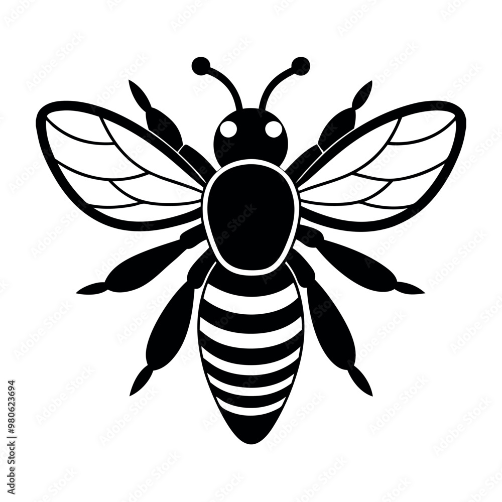 Asian giant hornet bee vector illustration. Asian giant hornet bee vector illustration.