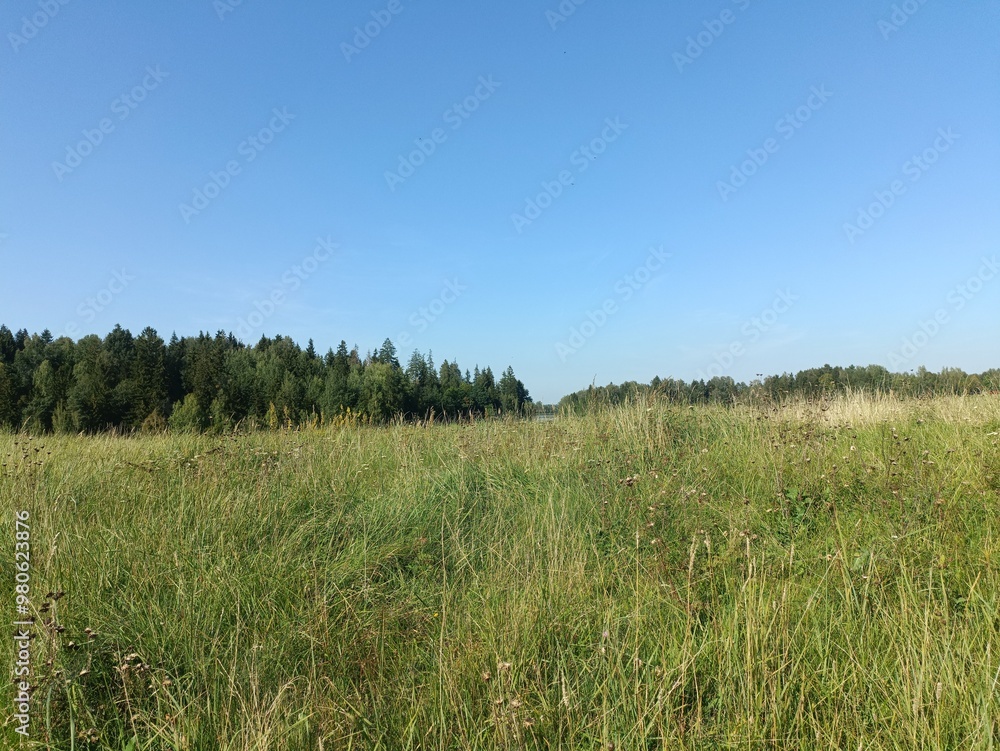 Bubiai hill during sunny day. Small hill. Grass is growing on hill. Staircase leading to the top. Sunny day with white and gray clouds in sky. Nature. Bubiu piliakalnis.
Bubiai hill during sunny day. Small hill. Grass is growing on hill. Staircase leading to the top. Sunny day with white and gray clouds in sky. Nature. Bubiu piliakalnis.