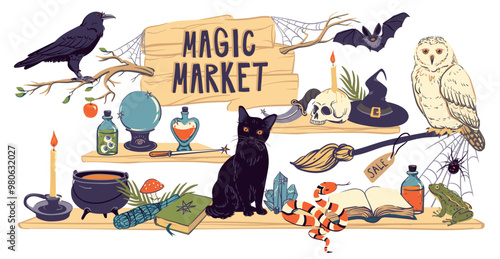 Showcase of a magic shop. Shelves with witchcraft and witchcraft goods, cauldron, grimoire, potion, elixir, skull, magic ball, and hat. Familiars for the sorcerer cat, snake, owl, toad, spider. Vector