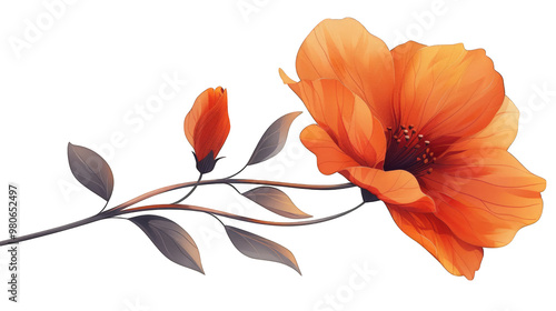 A beautiful orange flower with a bud on a branch. The flower is in full bloom and the bud is just starting to open. The leaves are a deep green and the stem is brown. This image represents nature and 