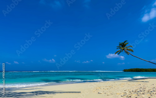 The tropical white sand beach with Aqua waves and coconut palm tree as shadow on blue background.