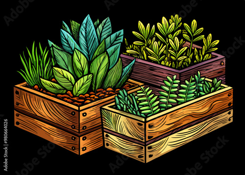 cartoon vector illustration of three wooden planter boxes with green plants, black isolated background, plant and flowers