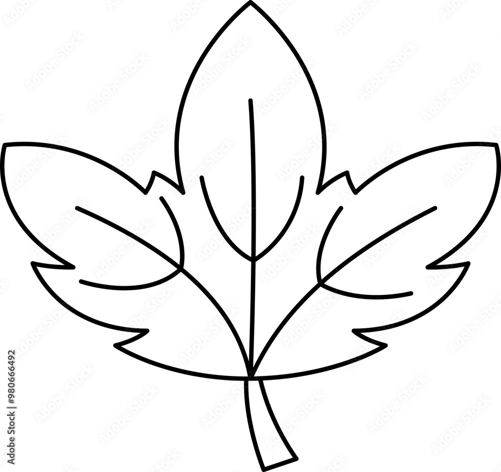 Hand drawn leaves outline illustration Hand drawn leaves outline illustration