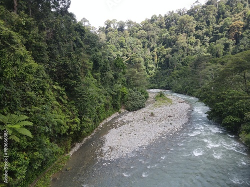 Selva de Sumatra, Indonesia 