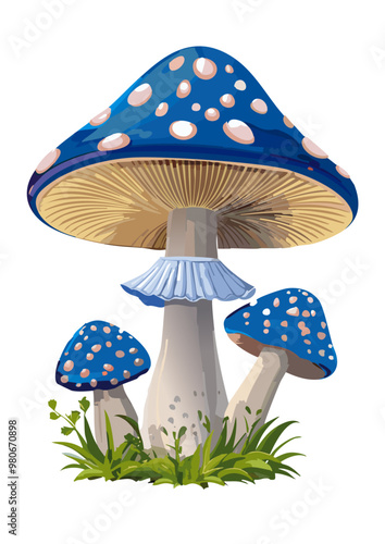 Fliegenpilz_01_blau