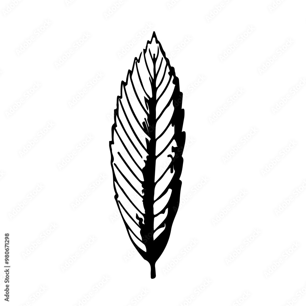 long leaf icon silhouette vector long leaf icon silhouette vector