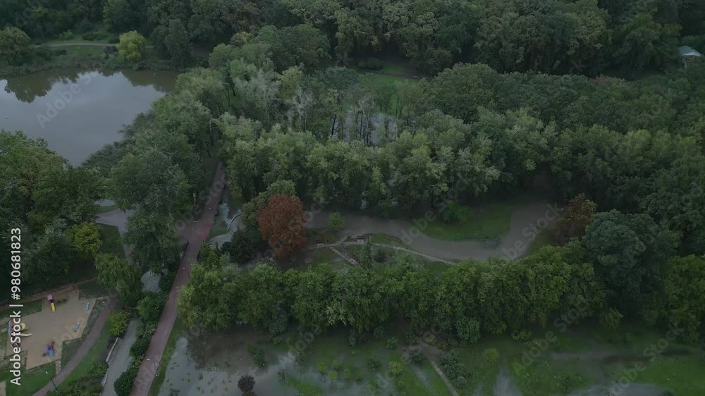 Dendrariu park after floods Dendrariu park after floods