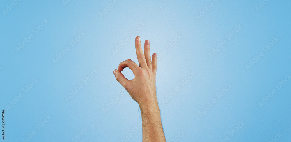 Perfect, sign and hand of person in studio for agreement, thank you or positive vote with mockup. Review, opinion and model with okay finger emoji, icon or symbol for support on blue background space Perfect, sign and hand of person in studio for agreement, thank you or positive vote with mockup. Review, opinion and model with okay finger emoji, icon or symbol for support on blue background space