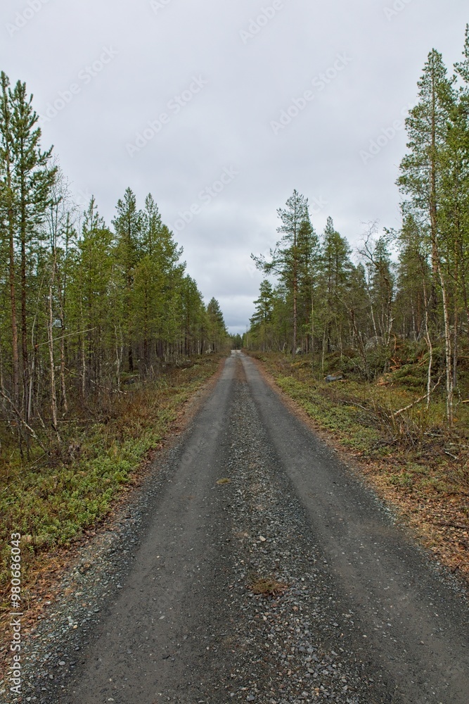 Naklejka premium Gravel road and forest view at Ovre Pasvik National Park on a cloudy spring day, Norway.