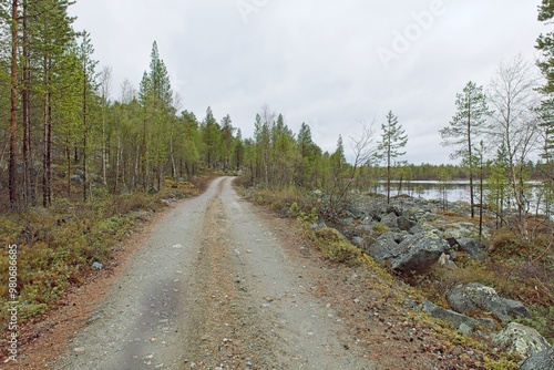 Gravel road and forest view at Ovre Pasvik National Park on a cloudy spring day, Norway. photo