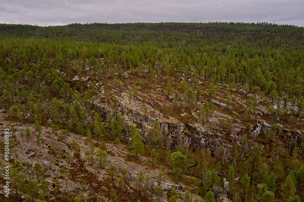 Obraz premium Aerial view of forest at Ovre Pasvik National Park with tree reflectios on surface on a cloudy spring day, Norway.