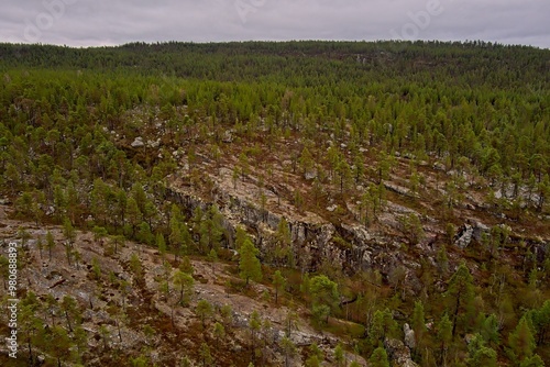 Aerial view of forest at Ovre Pasvik National Park with tree reflectios on surface on a cloudy spring day, Norway. photo