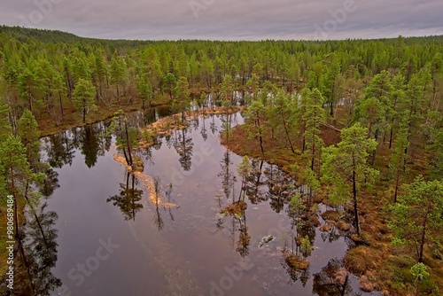 Aerial view of river at Ovre Pasvik National Park with tree reflections on surface on a cloudy spring day, Norway. photo