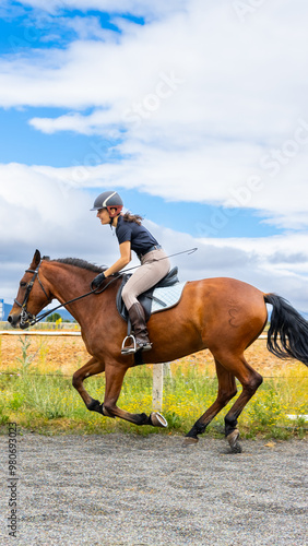 horse and rider