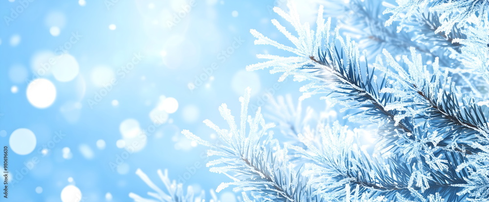 Frosty pine branches with bokeh lights on blue winter background. Holiday greetings and seasonal designs. Banner with copy space Frosty pine branches with bokeh lights on blue winter background. Holiday greetings and seasonal designs. Banner with copy space
