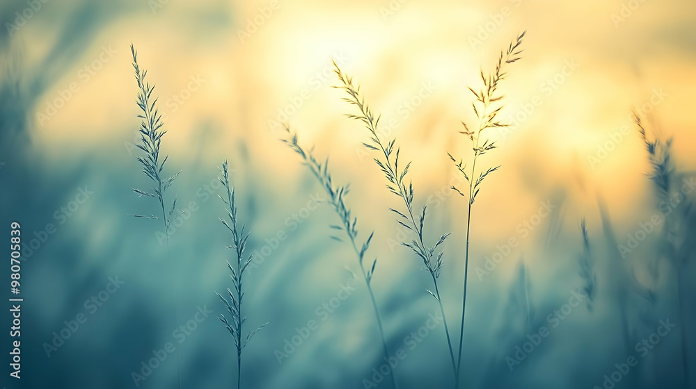 Tall Grass Blades Silhouetted Against a Soft, Hazy Sunset Sky with Warm Colors, Creating a Beautiful and Tranquil Natural Background Tall Grass Blades Silhouetted Against a Soft, Hazy Sunset Sky with Warm Colors, Creating a Beautiful and Tranquil Natural Background