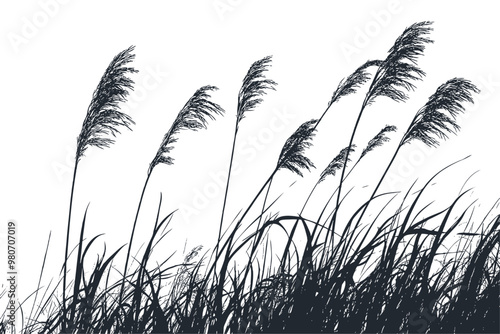 Silhouette of the cane. vector illustration	