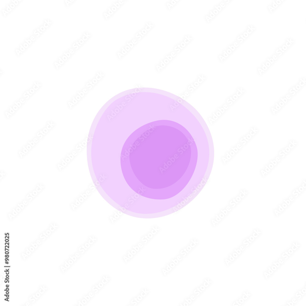 Lymphocyte Vektor Illustration Lymphocyte Vektor Illustration