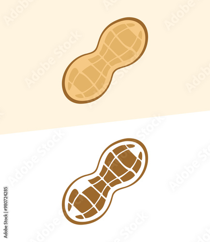 A simple illustration of a peanut on a white and light brown background.