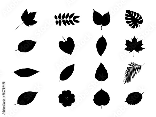 Set of Leaf Silhouette in various poses isolated on white background