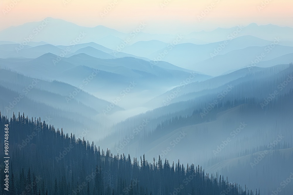 Fototapeta premium Scenic view of Carpathian forest and sky in Ukraine.