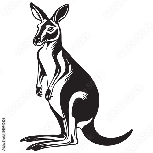 Kangaroo Silhouettes and Illustrations, A Complete Collection