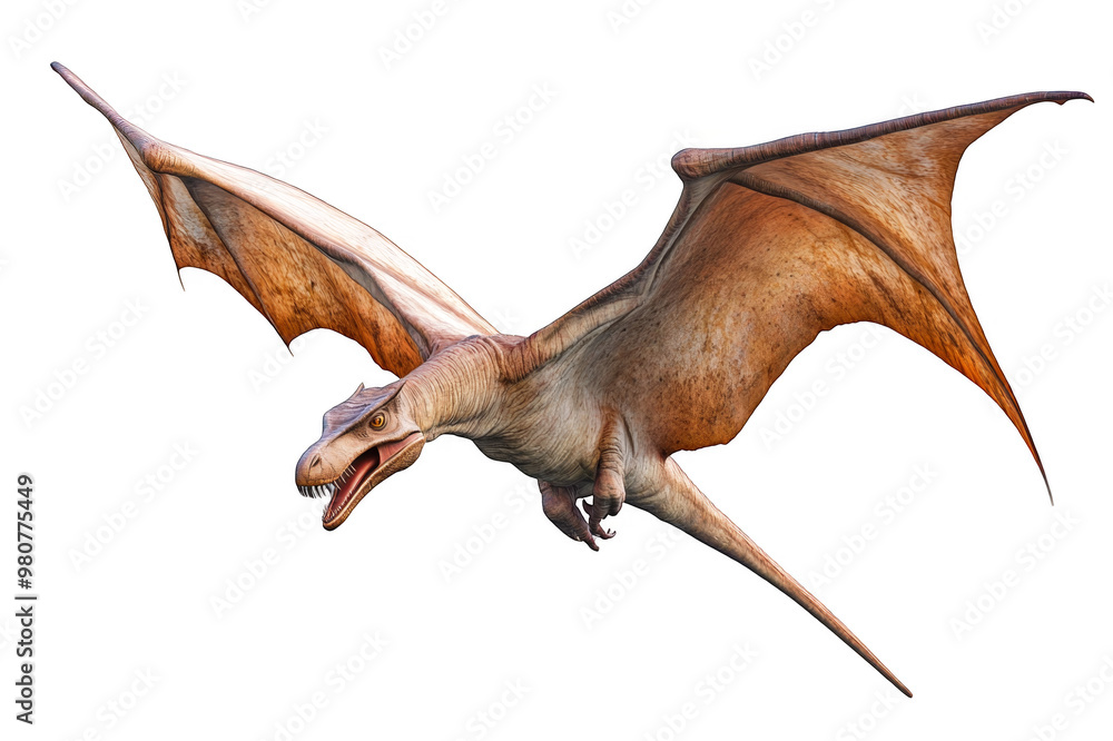 Obraz premium Pterodactyl on transparent background