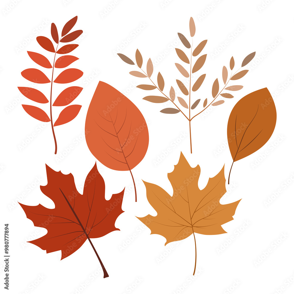 Set of autumn leaves. Simple autumn tree leaves Set of autumn leaves. Simple autumn tree leaves