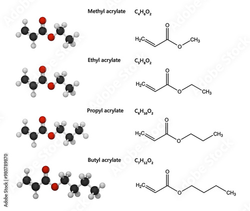 A selection of acrylate esters: methylacrylate, ethylacrylate, propylacrylate, butylacrylate. Chemical formula (2d structure). 3d illustration. White background photo