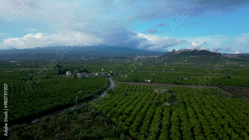 Aerial approaching view of the town of Paternò in Sicily with orange groves and Mount Etna