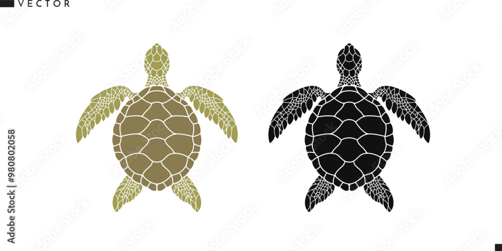 Foto Green turtle silhouette