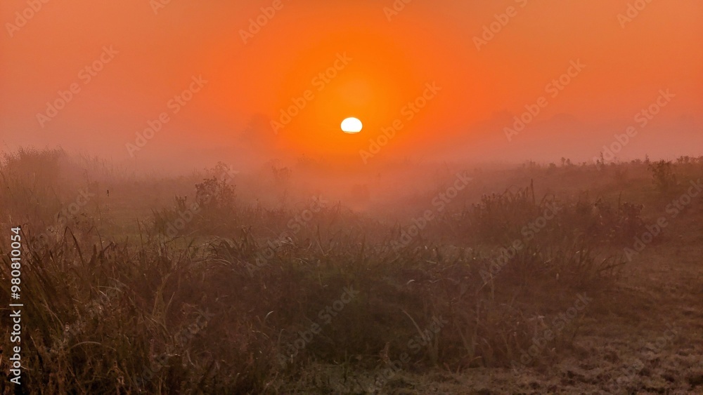 Beautiful sunrise landscape scenery at Clare river, County Galway, Ireland, nature sun background, misty dawn