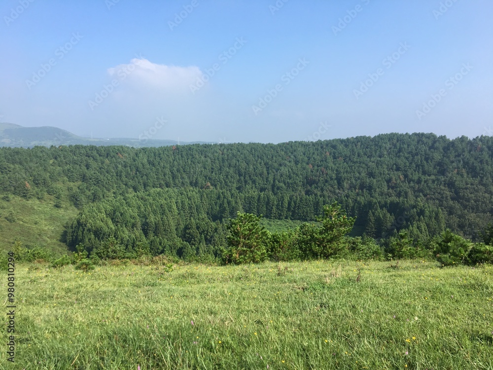 Obraz premium 맑은날 대한민국 제주도 동쪽 송당리 아부오름 숲 초록빛 언덕