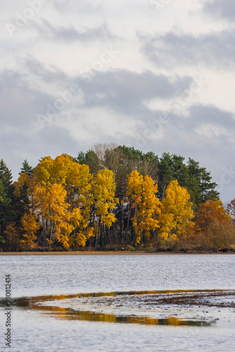 Typical autumn landscape in Trebonsko region, Velky Sustov pond near Suchdol nad Luznici, Southern Bohemia, Czech Republic photo