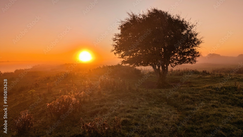 Beautiful sunrise landscape scenery at Clare river, County Galway, Ireland, nature sun background, misty dawn