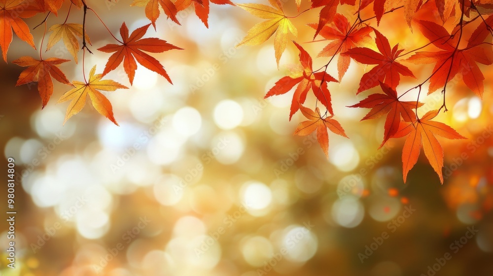 Autumn leaves arranged beautifully on a neutral background for seasonal decoration ideas Autumn leaves arranged beautifully on a neutral background for seasonal decoration ideas