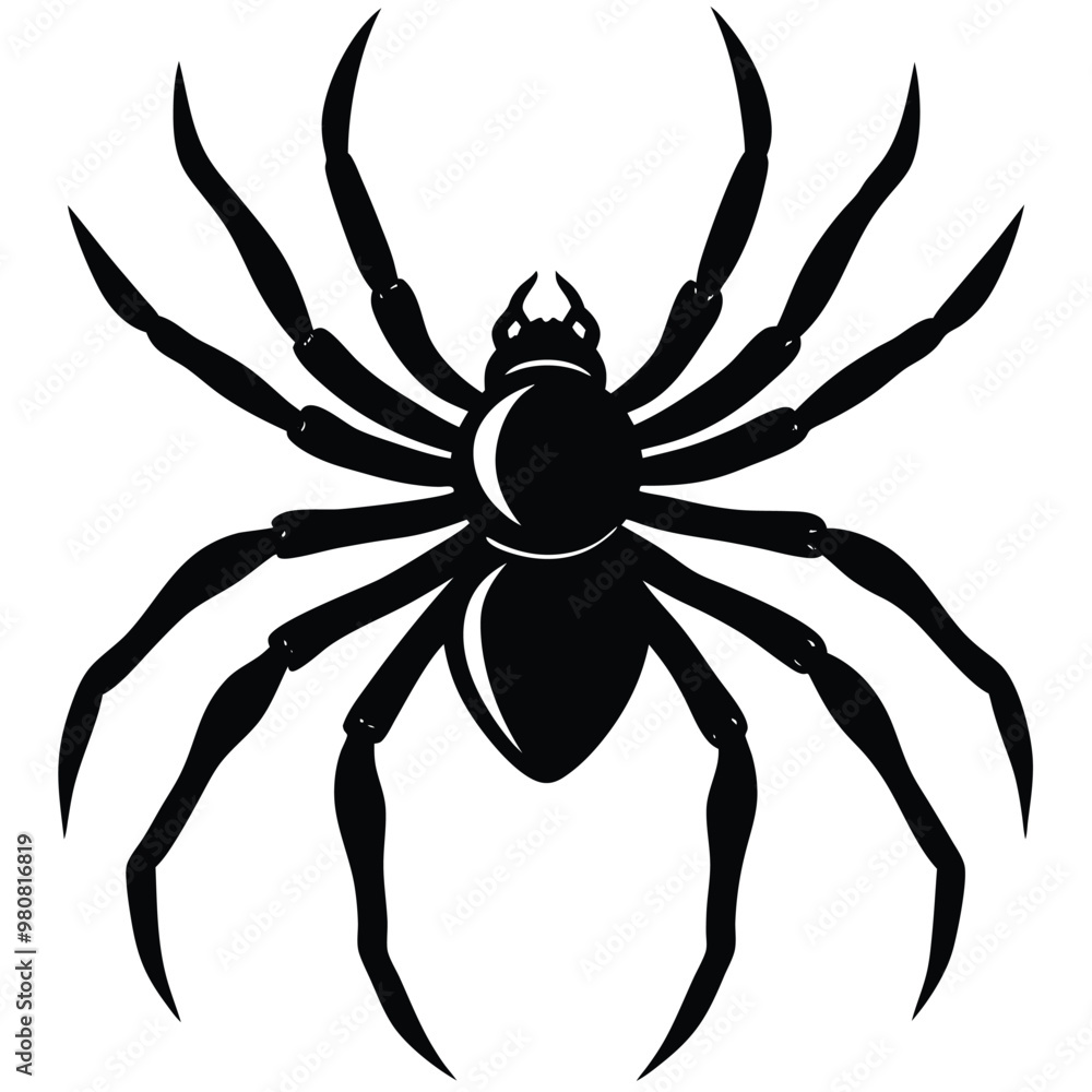 Ada black spider with a white background that says' spider' on itobe Illustrator Artwork Ada black spider with a white background that says' spider' on itobe Illustrator Artwork