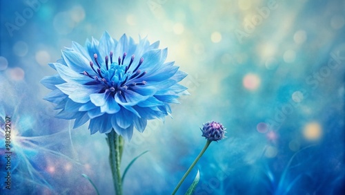Delicate hand-drawn blue bachelor's button flower blooming on a soft, dreamy watercolor background with subtle texture and gentle color hues, evoking a sense of serenity.