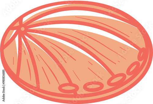 Sea shell colored illustration vector