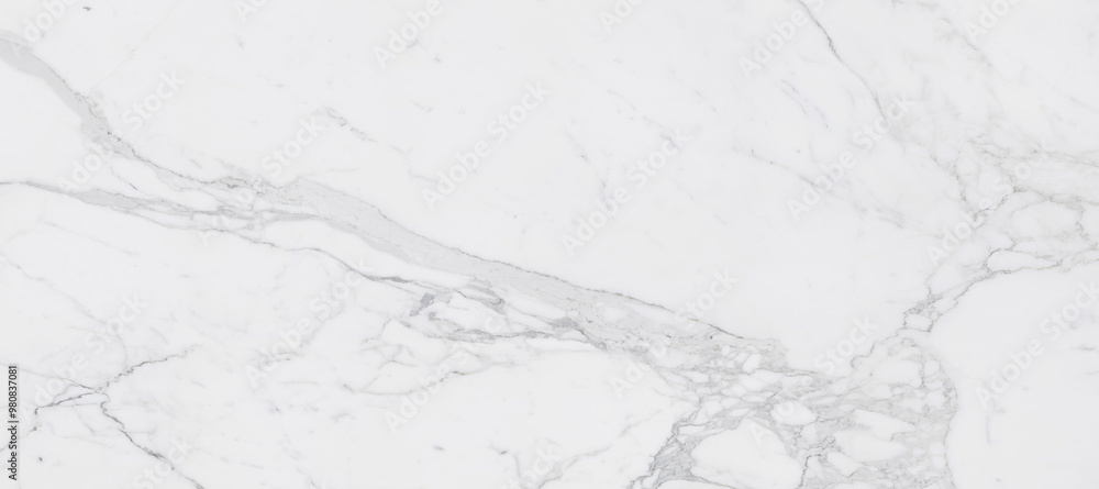 Obraz premium Creative pattern stone ceramic wallpaper design. White marble