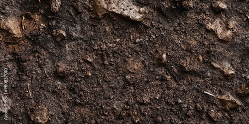 Wallpaper Mural Close-up of rich, dark soil with organic matter and texture. Torontodigital.ca