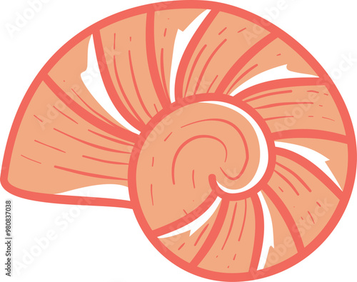 Sea shell colored illustration vector