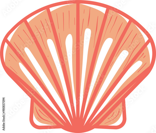 Sea shell colored illustration vector