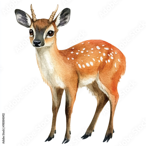 Muntjac watercolor clipart illustration isolated