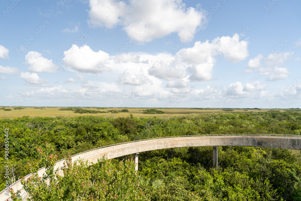 A nice view overlooking the green Everglades on a sunny day at Everglades NP. A nice view overlooking the green Everglades on a sunny day at Everglades NP.